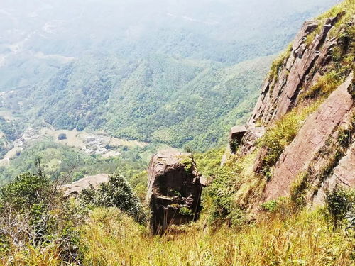 岑溪風(fēng)物 意動(dòng)身臨湖廣頂,雄山萬仞踏云行