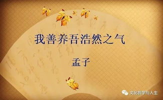 孟子 我們被掩埋的 尊嚴(yán)與價(jià)值
