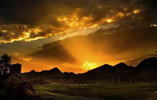 浮云游子意，落日故人情 古詩詞中的思鄉(xiāng)與友情