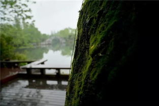 浮云堂 退藏于云行境界